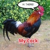 Gud T.